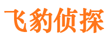 江城寻人公司